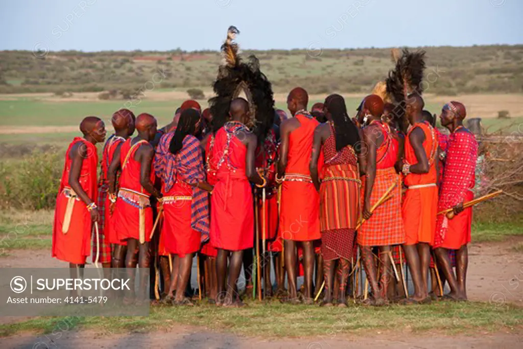 masai warriors ( morans ) dancing, kenya.