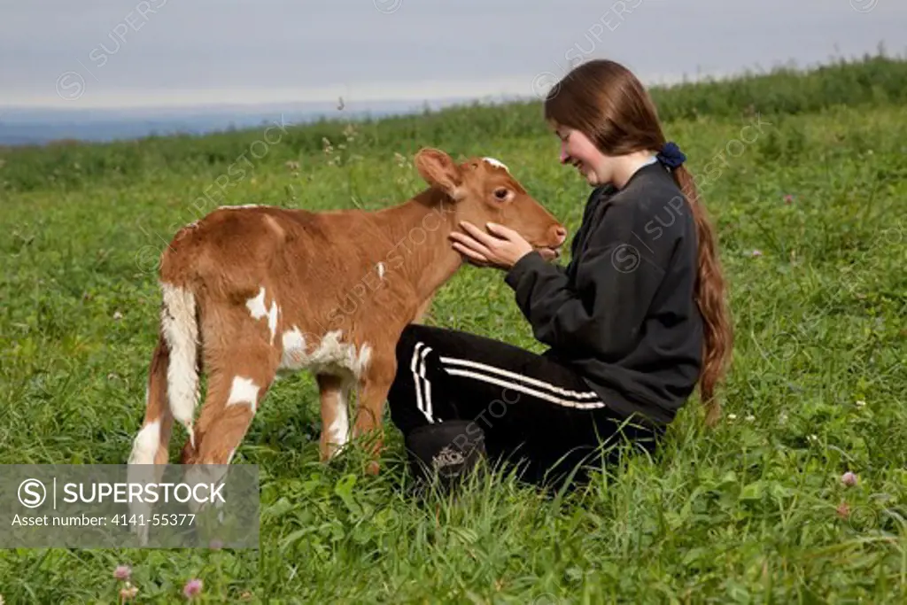 Farmer'S Daughter With Guernsey Calf In Pasture, Autumn; Sharon Springs, New York, Usa (Gc) Photo Released