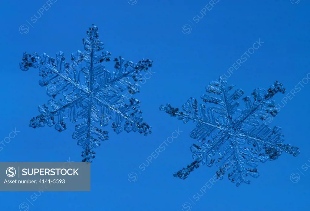 snowflakes magnified to show hexagonal ice crystal structure 