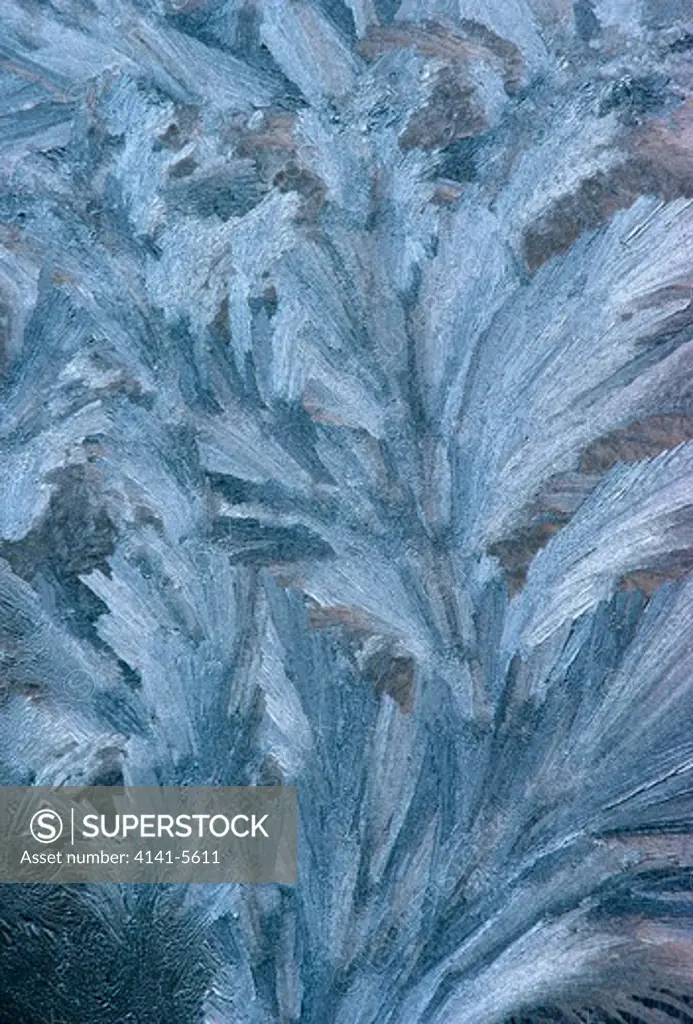 ice crystals on window patterns formed by ice crystals 