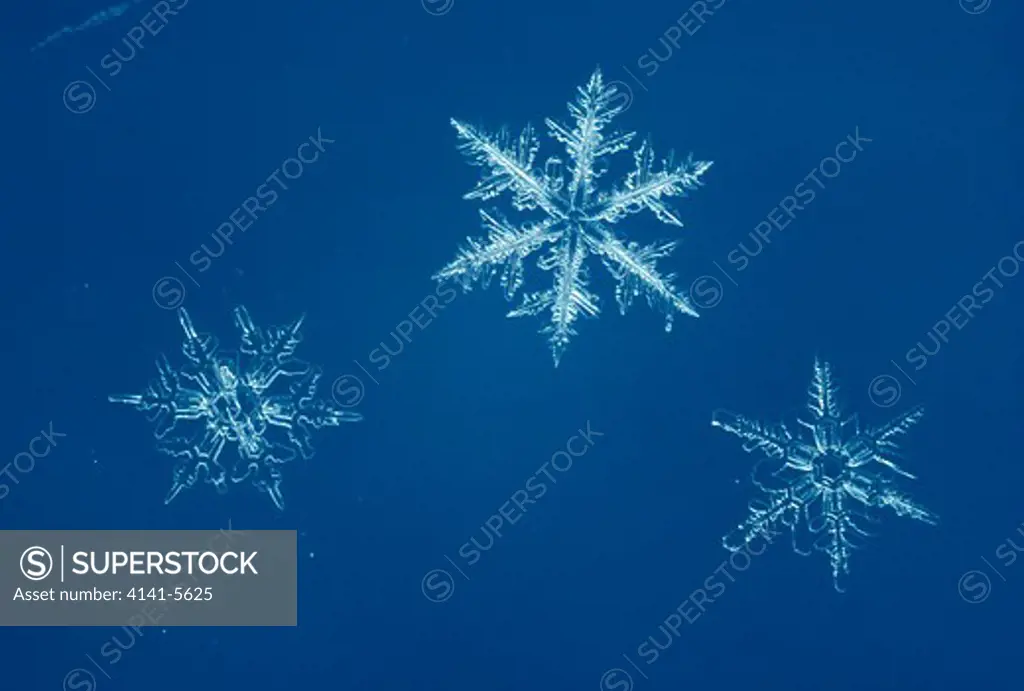 snowflakes highly magnified to show hexagonal crystal form 