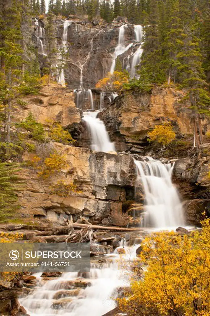 Tangle Falls In Jasper National Park