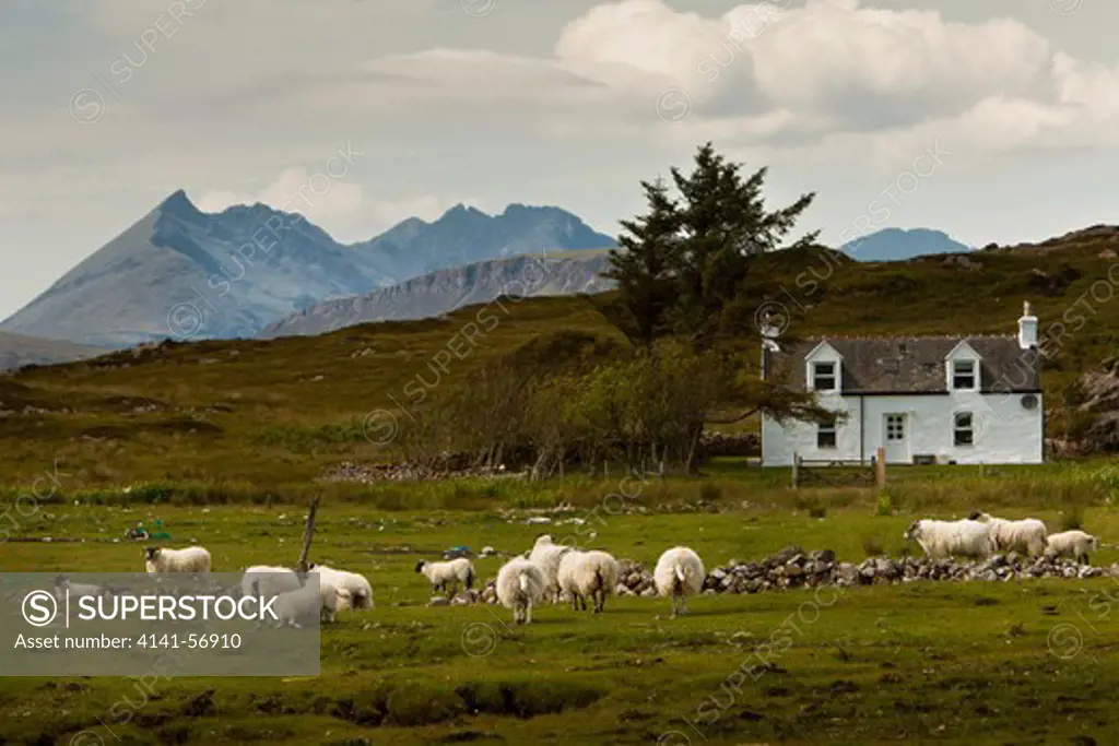 Croft & Sheep, Skye