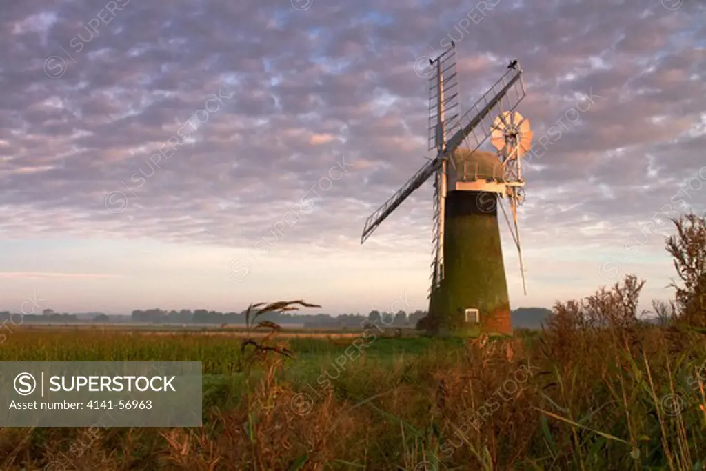 Windmill On The Norfolk Broads