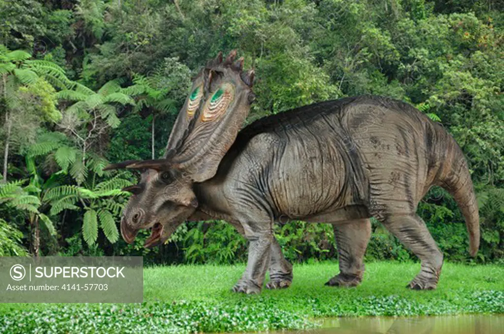 Digital Composite Of A Male Anchiceratops Ornatus, A Large Three-Horned Ceratopsid Dinosaur From The Late Cretaceous, Ambling By A Muddy River In What Is Today The State Of Alberta In Canada.