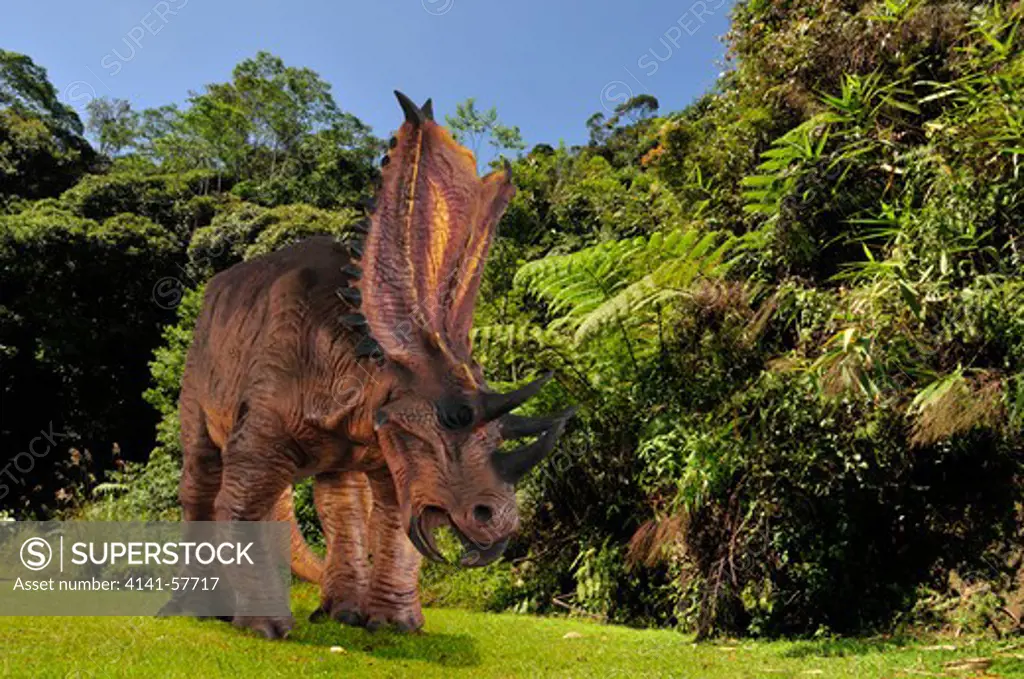 Digital Composite Of An Adult Male Chasmosaurus Belli, A Large Plant-Eating Ceratopsian Dinosaur From The Late Cretaceous Period, In What Is Today  The State Of Alberta In Canada.