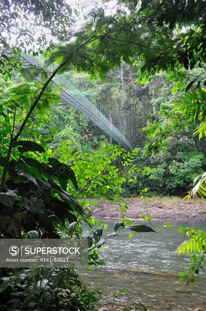 Suspension Bridge Over Rio Sarapiqui Landscape, Selva Verde Nature Reserve, Rio Sarapiqui Region, Heredia, Costa Rica