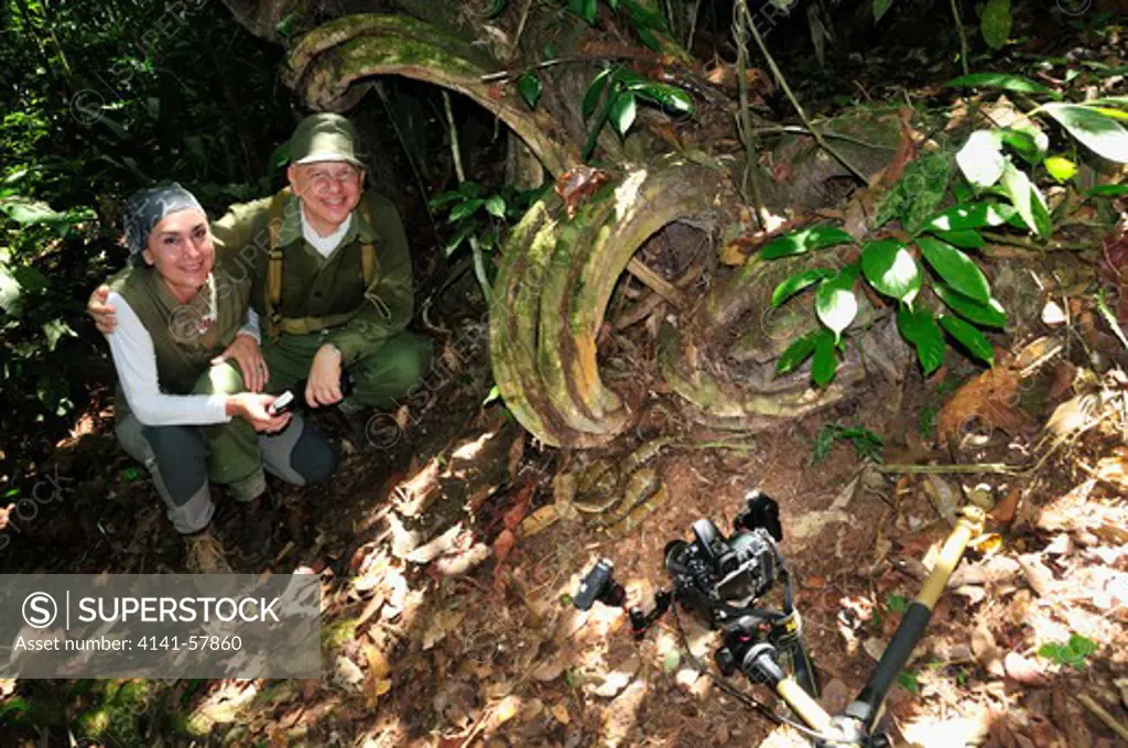 Photographers Antonella And Andrea Ferrari With Lancehead Pit-Viper Bothrops Atrox, Latin America'S Most Dangerous Snake, Yasuni National Park, The Amazon, Ecuador