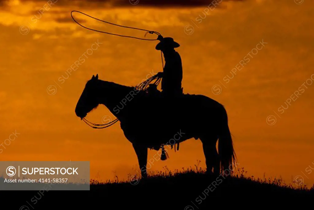 Cowboy Sitting Atop A Horse Swinging A Lassoo At Sunset Near Mariposa, California, Usa