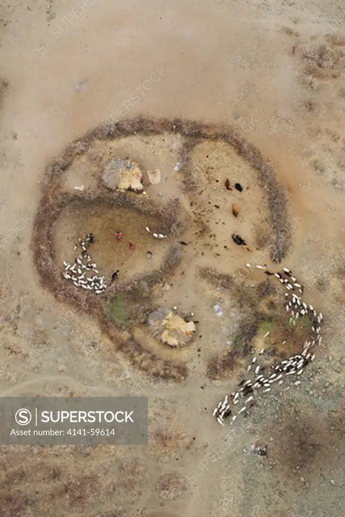 Aerial View Of Maasai Or Masai Boma Or Enclosure. Huts Are Made From A Mixture Of Dung And Mud. Livestock Is Kept Close To The Huts And Surrounded By Thorn Bushes As Protection From Nocturnal Predators. Kenya