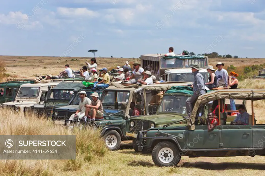 Tourists Watching The Wildebeest Migration Crossing The Mara River. Up To 8000 Tourists A Day Can Be In The Masai Mara During The Migration Months Of August And September. Masai Mara National Reserve. Kenya