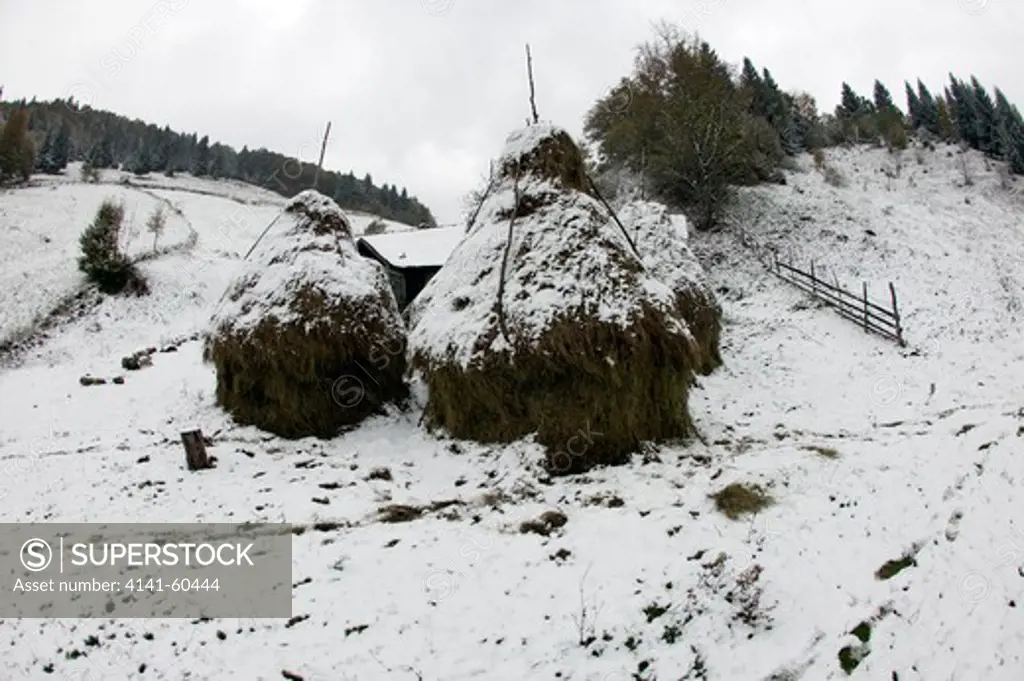 Peasant Farm With Hayricks Covered In First Snow, Romania