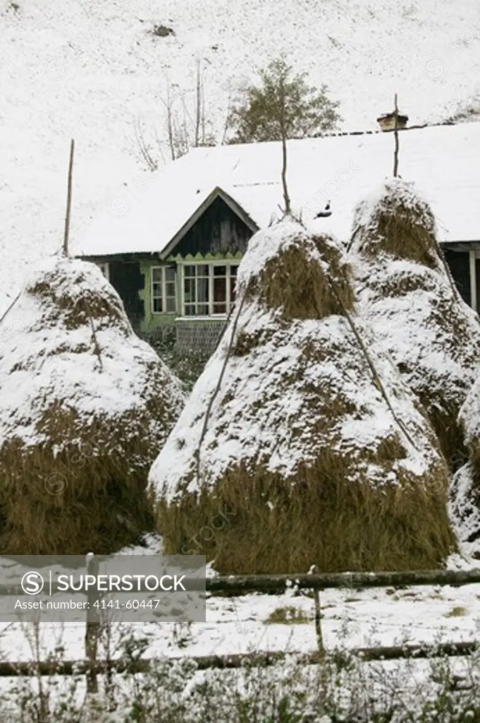 Peasant Farm With Hayricks Covered In First Snow, Romania