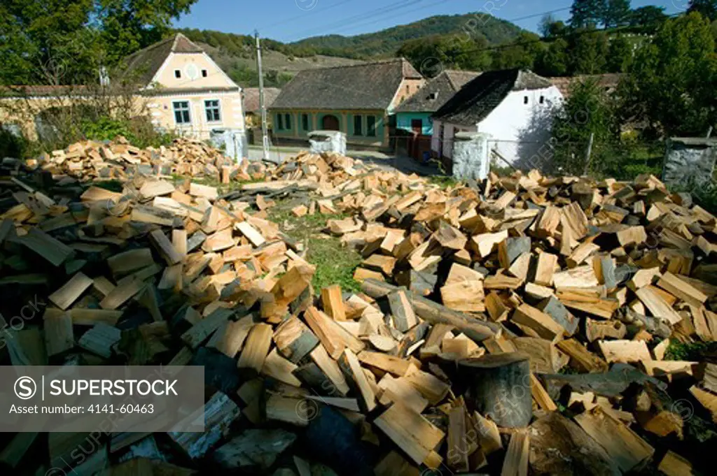 Product Of Traditional Woodland Management -Firewood For The Community, Saxon Part Of Transylvania, Romania