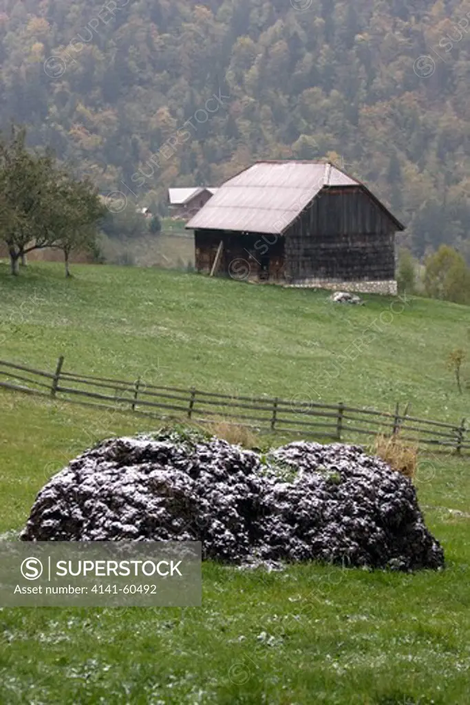 Heap Of Manure Covered In Snow With Barn, Peasant Economy In Alpine Village, Saxon Part Of Transylvania, Romania