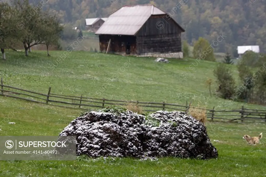 Heap Of Manure Covered In Snow With Barn, Peasant Economy In Alpine Village, Saxon Part Of Transylvania, Romania