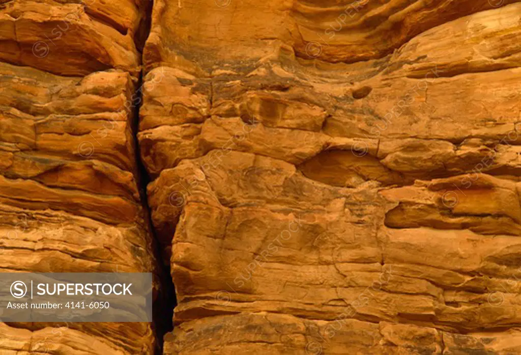 sandstone rockface zion national park, utah, usa