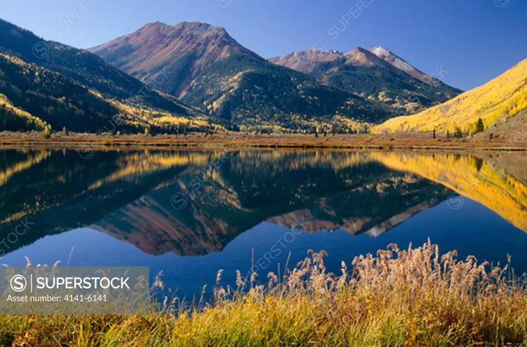 red mountain reflected in crystal lake with quaking aspens in autumn colours populus tremuloides san juan mountains, colorado, usa