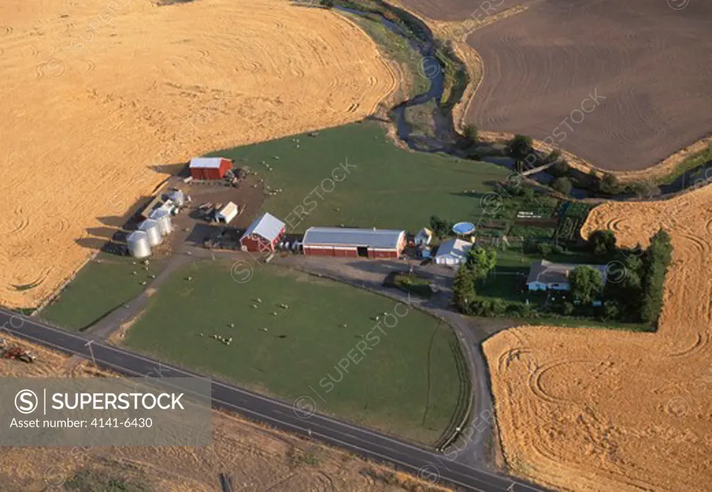 farm & wheat fields nr pullman, washignton, usa. aerial view. 