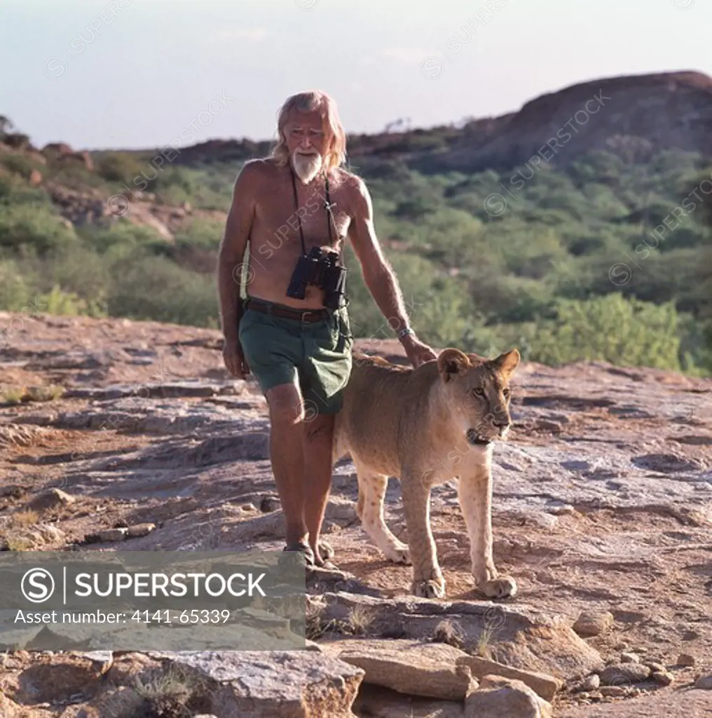 George Adamson With A Lioness He Is Re-Habilitating To The Wilds. 1976 In Kora Game Reserve. Northern Kenya.