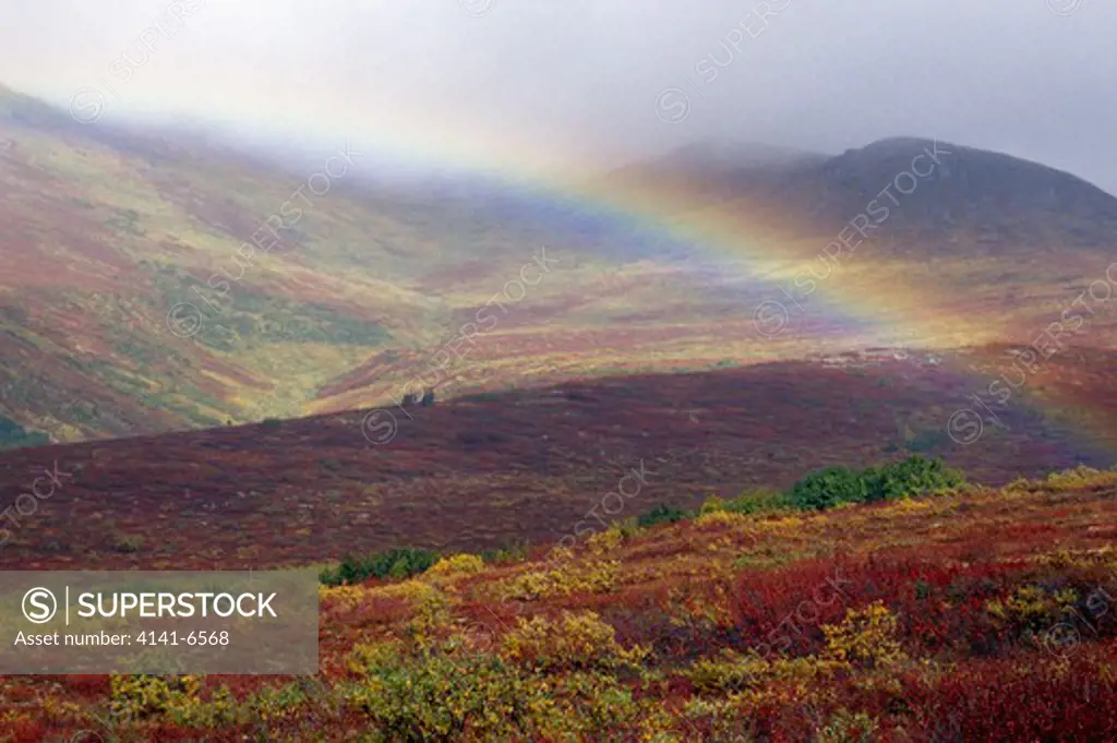 rainbow over tundra denali national park, alaska, usa.