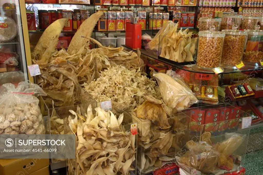 Dried shark fins for sale in traditional chinese medicine store, Taipei, Taiwan (Republic of China).