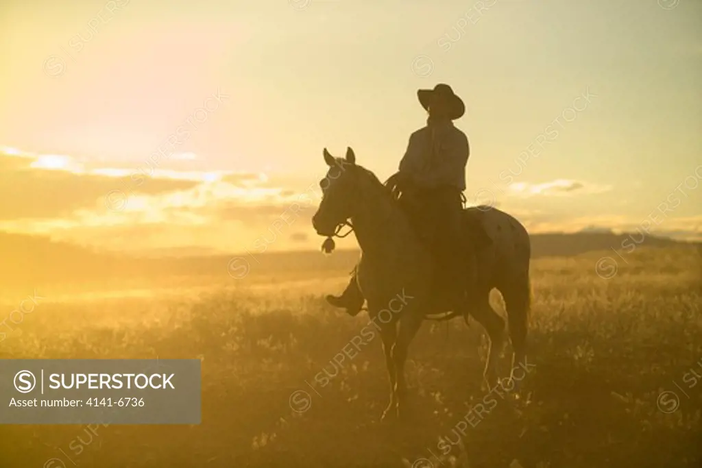 cowboy at sunset oregon usa