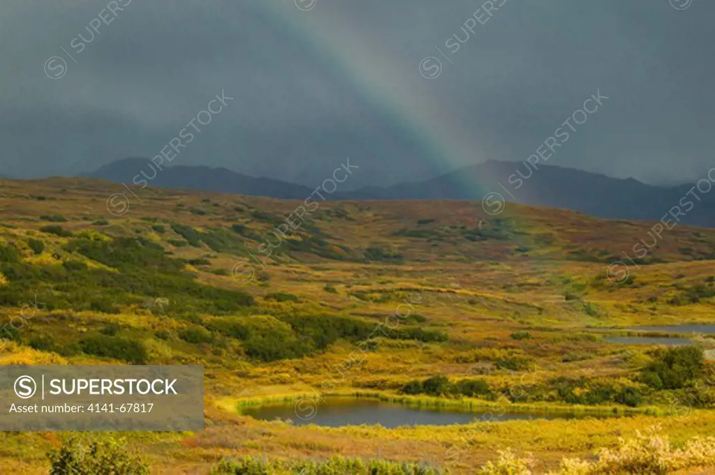 Alaskan Tundra with rainbow, Denali National, Park, Alaska, United States