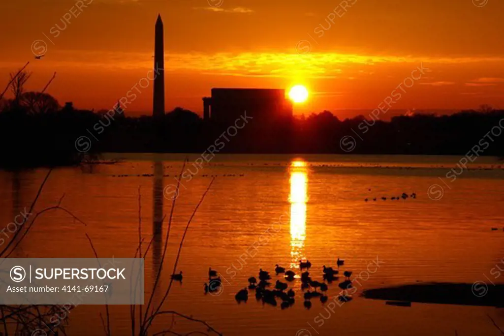 Sunset on Potomac River with Washington Monument and Lincoln Memorial, Washington, DC, US, with flocks of Canada Geese (Branta canadensis)
