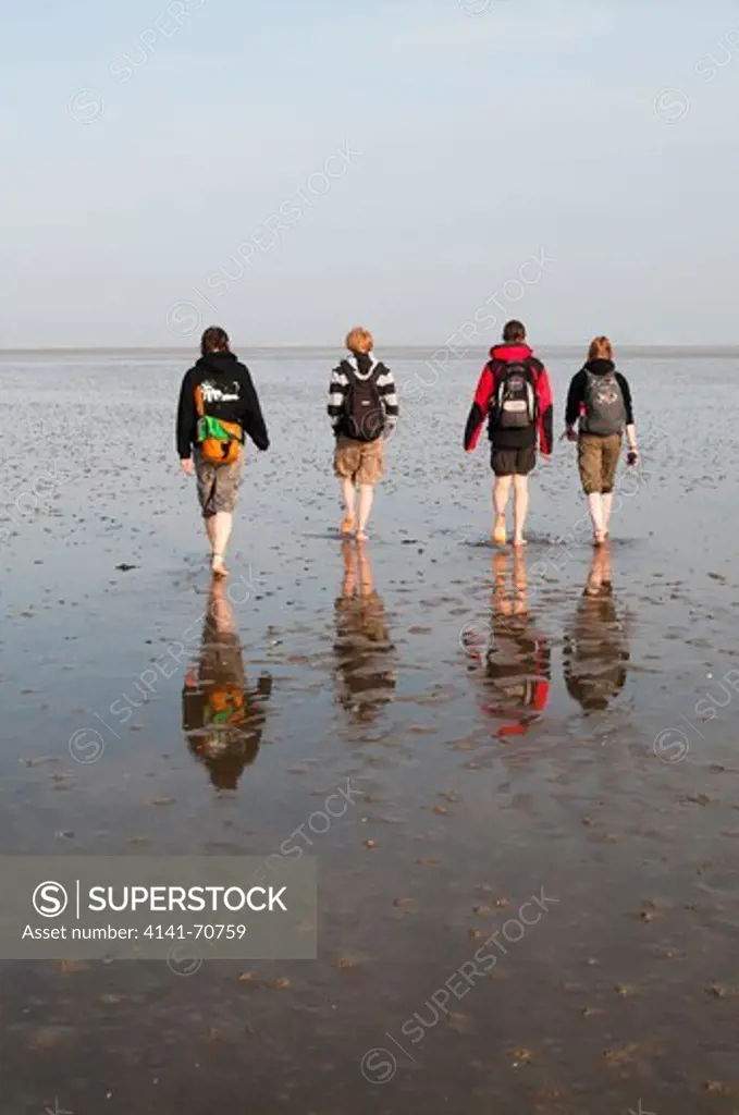 People walking across mudflats off the island of Fšhr at low tide, Germany