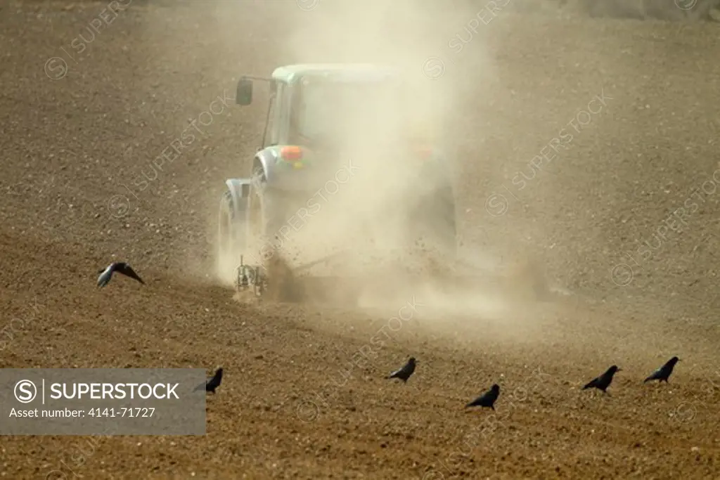 Spring harrowing Ploughing in dry conditions East Runton Norfolk