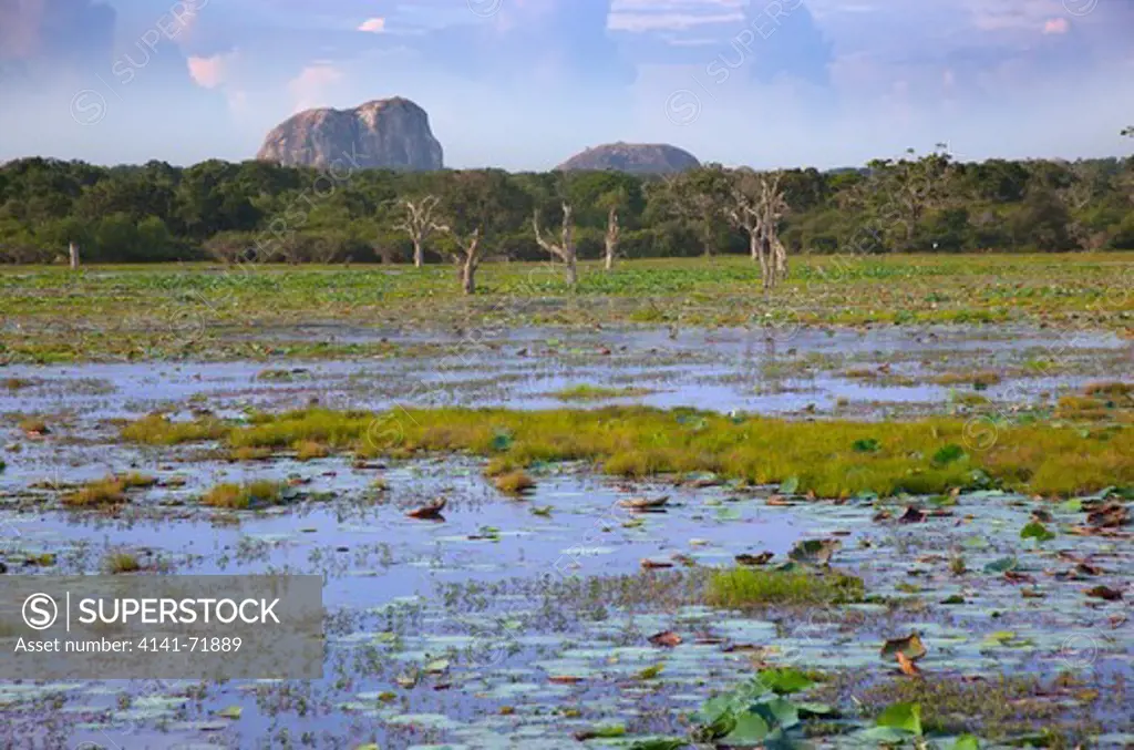 Yala National Park Sri Lanka Indian sub-continent