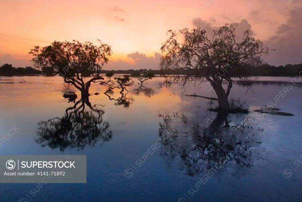 Dawn at Yala National Park Sri Lanka Indian sub-continent