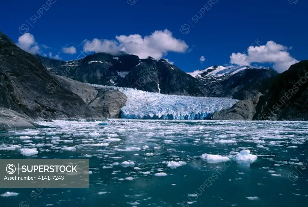 le conte glacier and icebergs in area of world natural heritage. glacier bay n.p., alaska, usa. july.