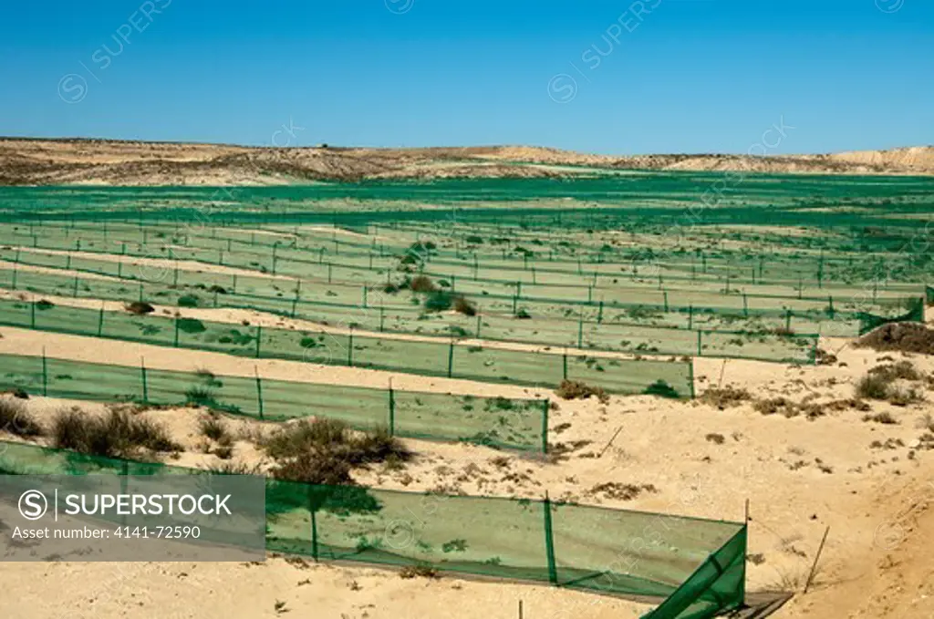 Wind deflector fences as part of a land restoration project on the area of the De Beers diamond mine Kleinzee, Northern Cape province, South Africa