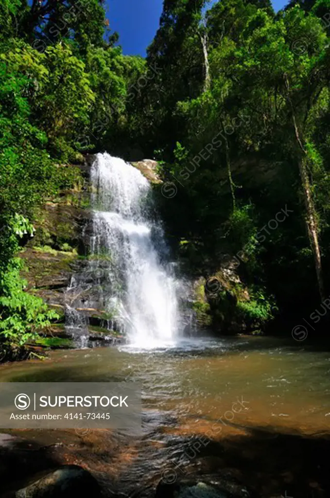 Pristine rainforest landscape with brook and waterfall, Ranomafana National Park, Madagascar