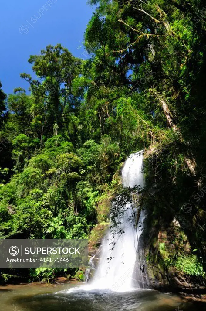 Pristine rainforest landscape with brook and waterfall, Ranomafana National Park, Madagascar
