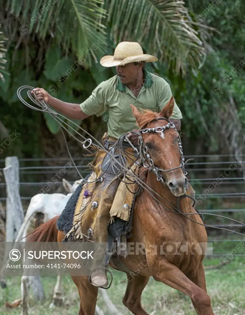 Pantaneiro cowboys ,  The Pantanal, Mato Grosso, Brazil