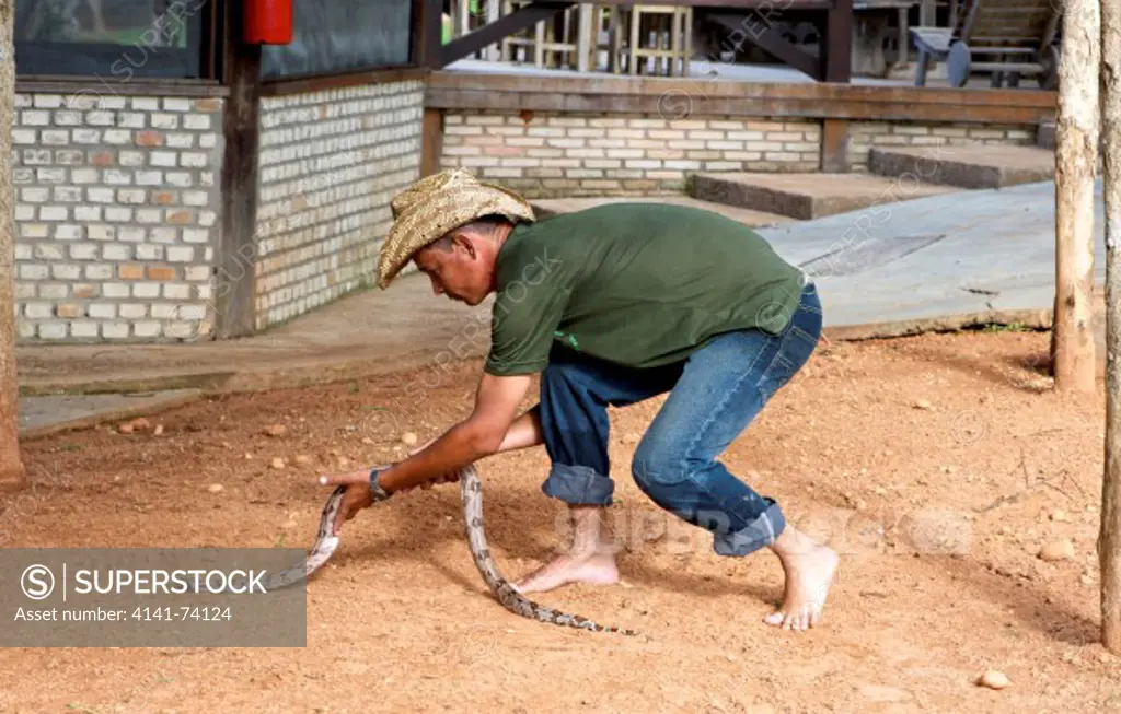 Guide picks up Red-tailed Boa (Boa constrictor), Jardim da Amazonia Lodge, Mato Grosso, Brazil Photo by: Peter Llewellyn