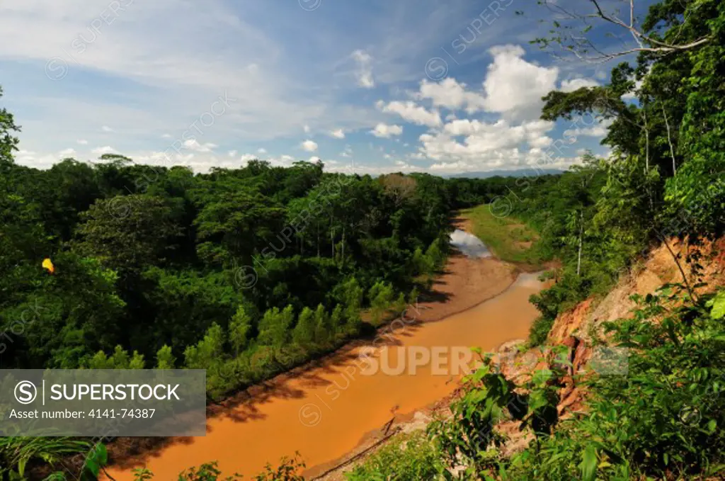 Tambopata Reserve, rio Tambopata backwaters, Peru, Amazonia