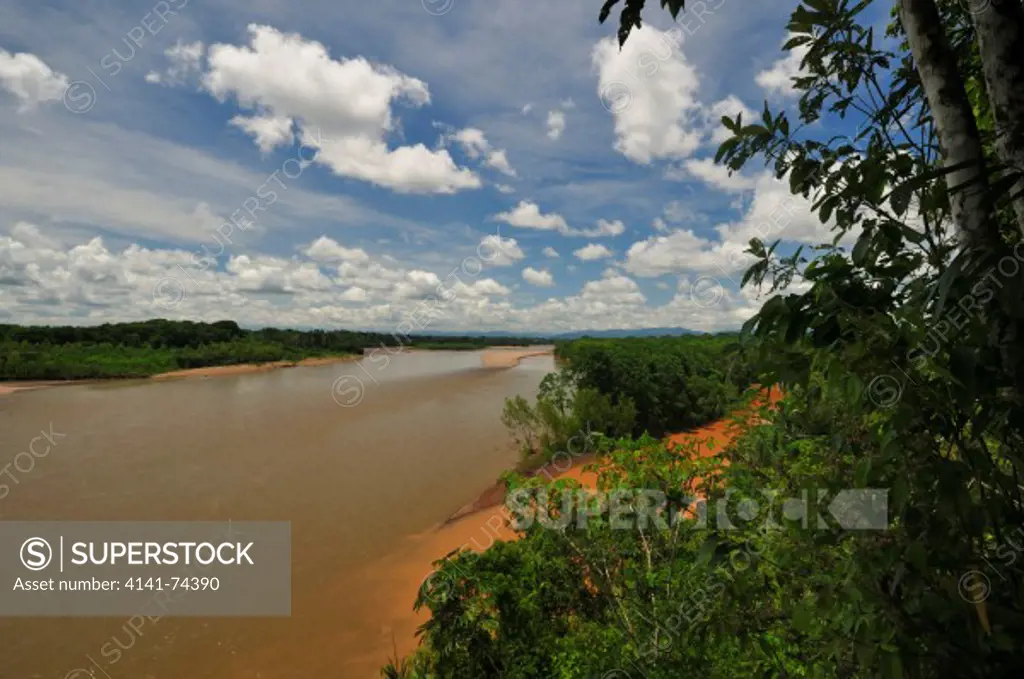 Tambopata Reserve, rio Tambopata, Peru, Amazonia