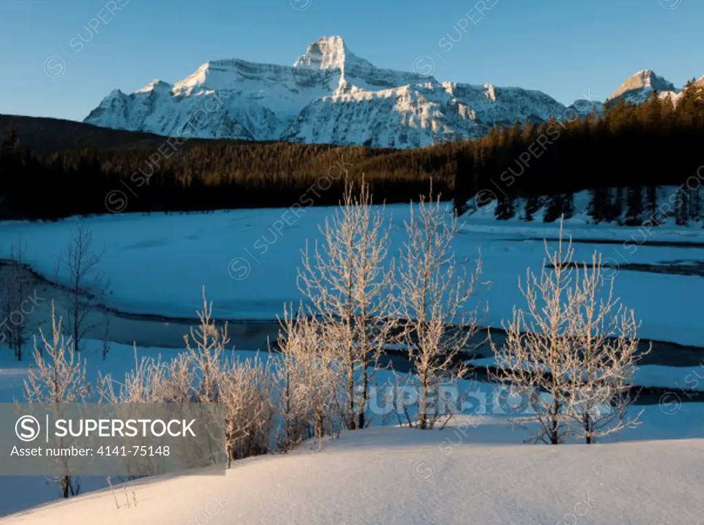Mt. Fryatt and the Athabaska River on a cold winter morning; Jasper National Park, Alberta, Canada.