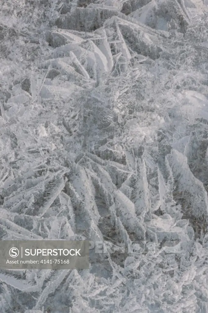Ice pattern on frozen lake; Alberta, Canada.