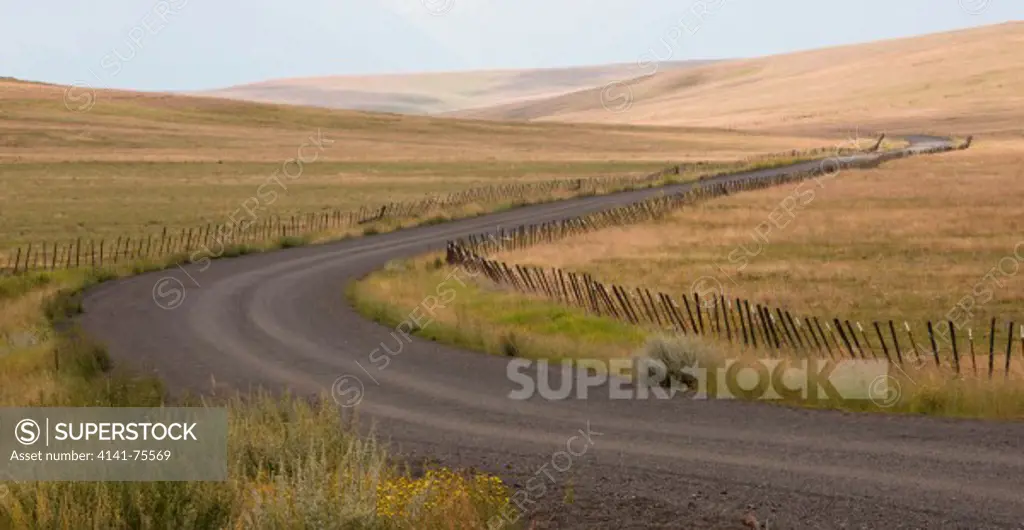 Road through the Zumwalt Prairie, largest remaining bunchgrass prairie in the Pacific Northwest, near Joseph, Oregon.