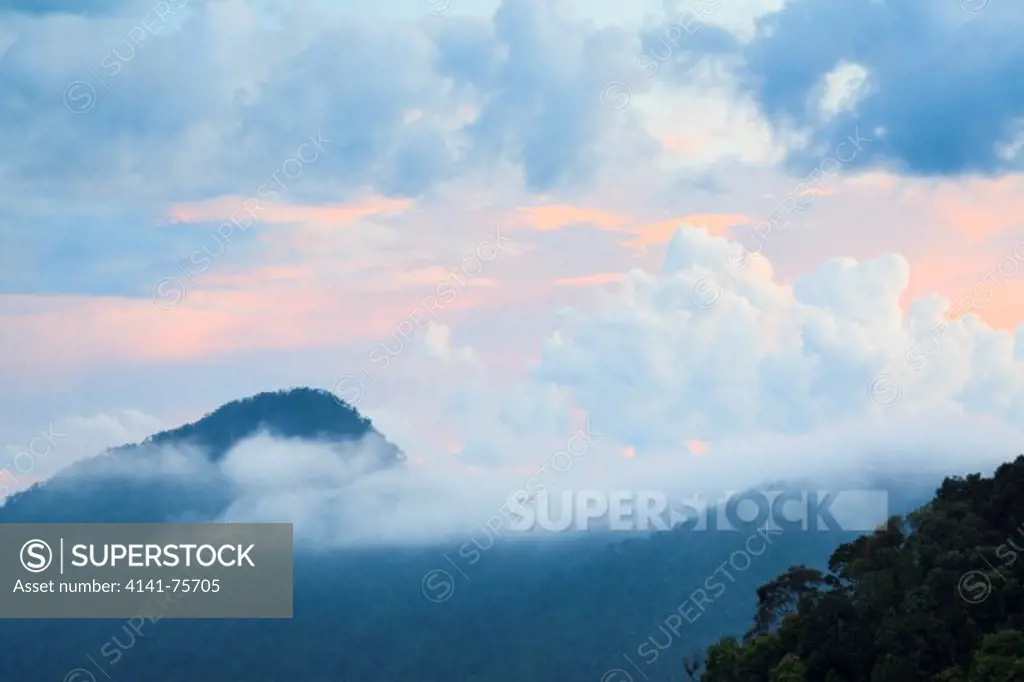 Rainforest landscape at sunset. Bach Ma National Park. Vietnam.
