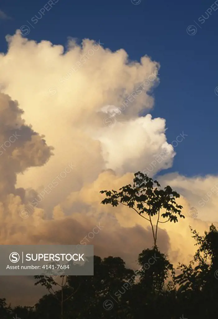 storm clouds over rainforest bolivar venezuela south america