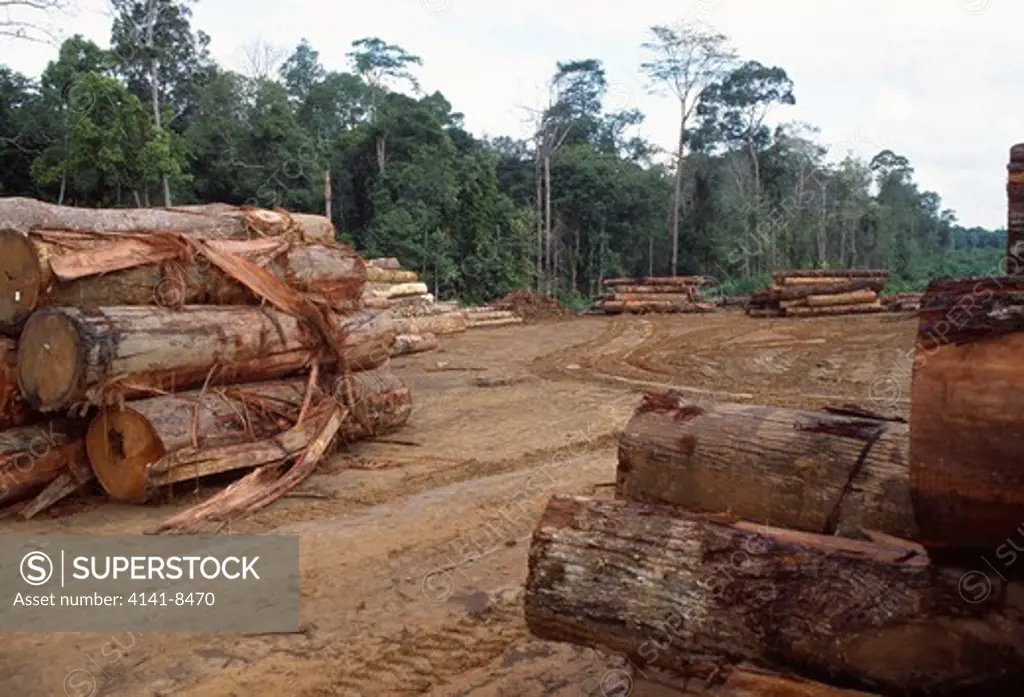 logging in panti forest johor state, malaysia 