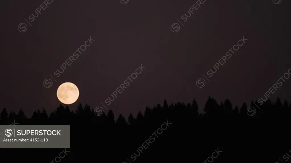 Full moon in the dark sky, Oregon, USA