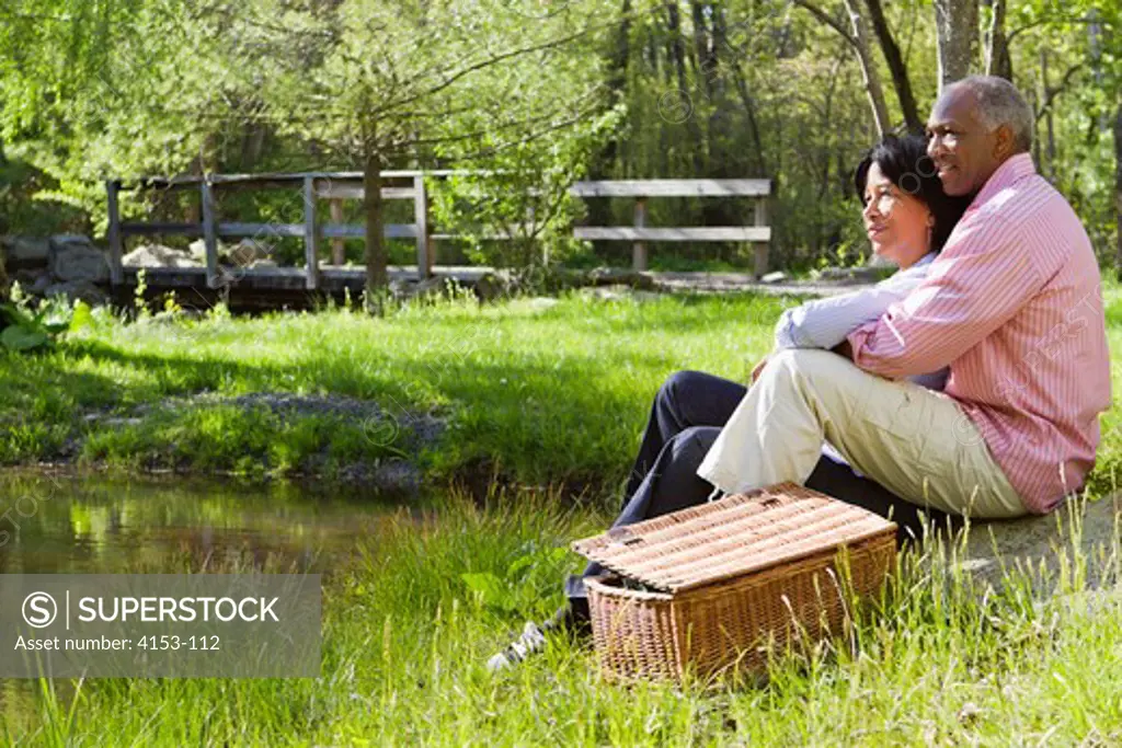 USA, Mature couple having picnic in countryside