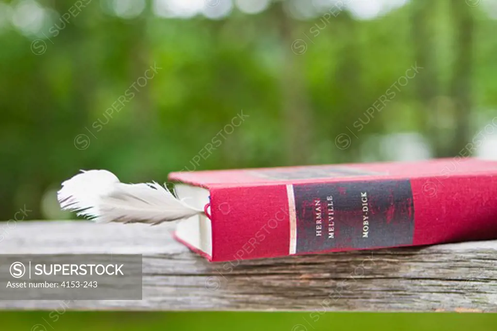 Close-up of book with feather on wooden fence